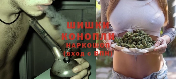 твердый Аркадак