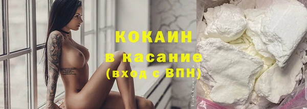 твердый Аркадак