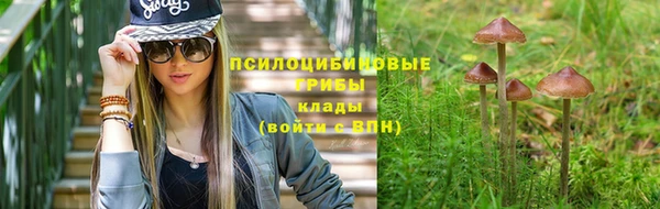 твердый Аркадак