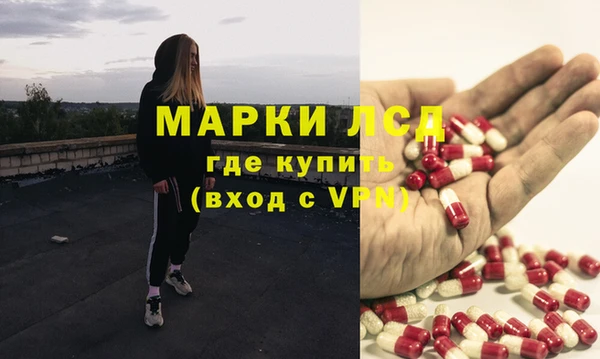 сатива Зерноград
