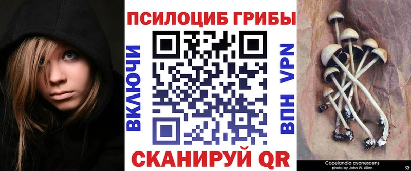 где купить наркоту  Нефтегорск  Галлюциногенные грибы прущие грибы 