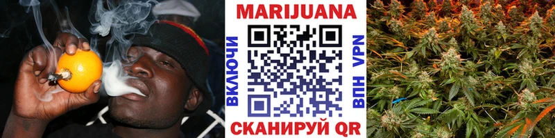 Бошки марихуана план  mega сайт  Нефтегорск 